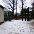 また東京にも雪が降りました　2006.02.07