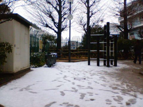 また東京にも雪が降りました　2006.02.07