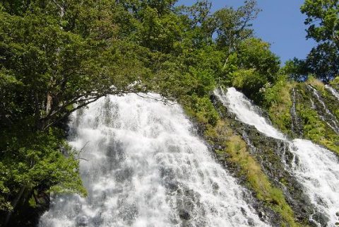 北海道・知床に行ってきました。３　