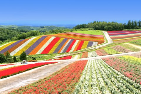 夏の北海道2023