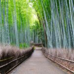 新幹線で行く！先たび・【早期60】京都駅から徒歩約1分／こだわりの寝具でゆったりリラックス（食事なし）