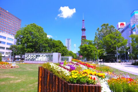 東京都発→札幌駅・大通（飛行機＋ホテル） 1泊2日 パック・ツアー・旅行